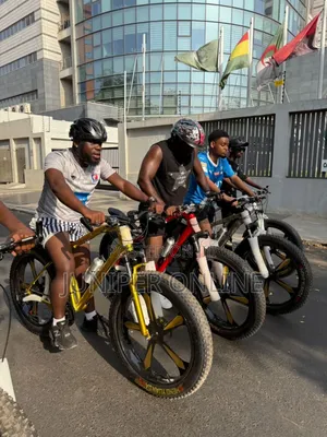 Bicycle Colors Kret Syn