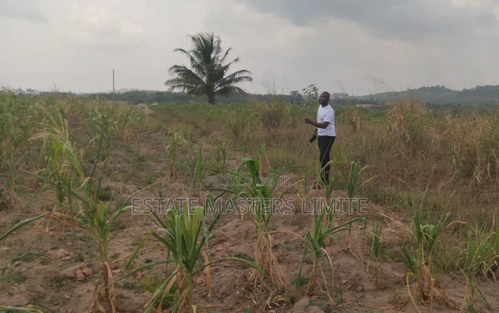 Well Demacated Serviced Plots of Lands Available for Sale