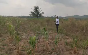 Well Demacated Serviced Plots of Lands Available for Sale