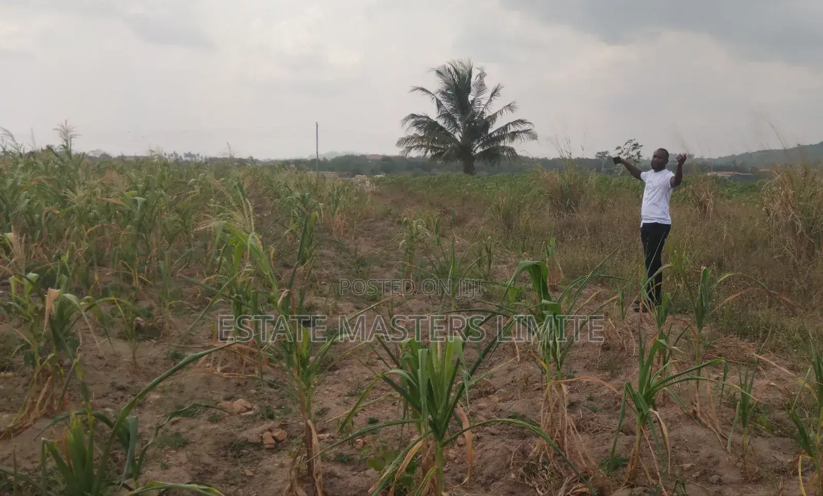 Well Demacated Serviced Plots of Lands Available for Sale