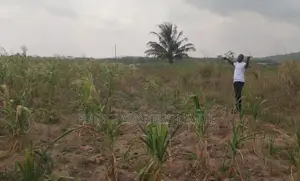 Well Demacated Serviced Plots of Lands Available for Sale