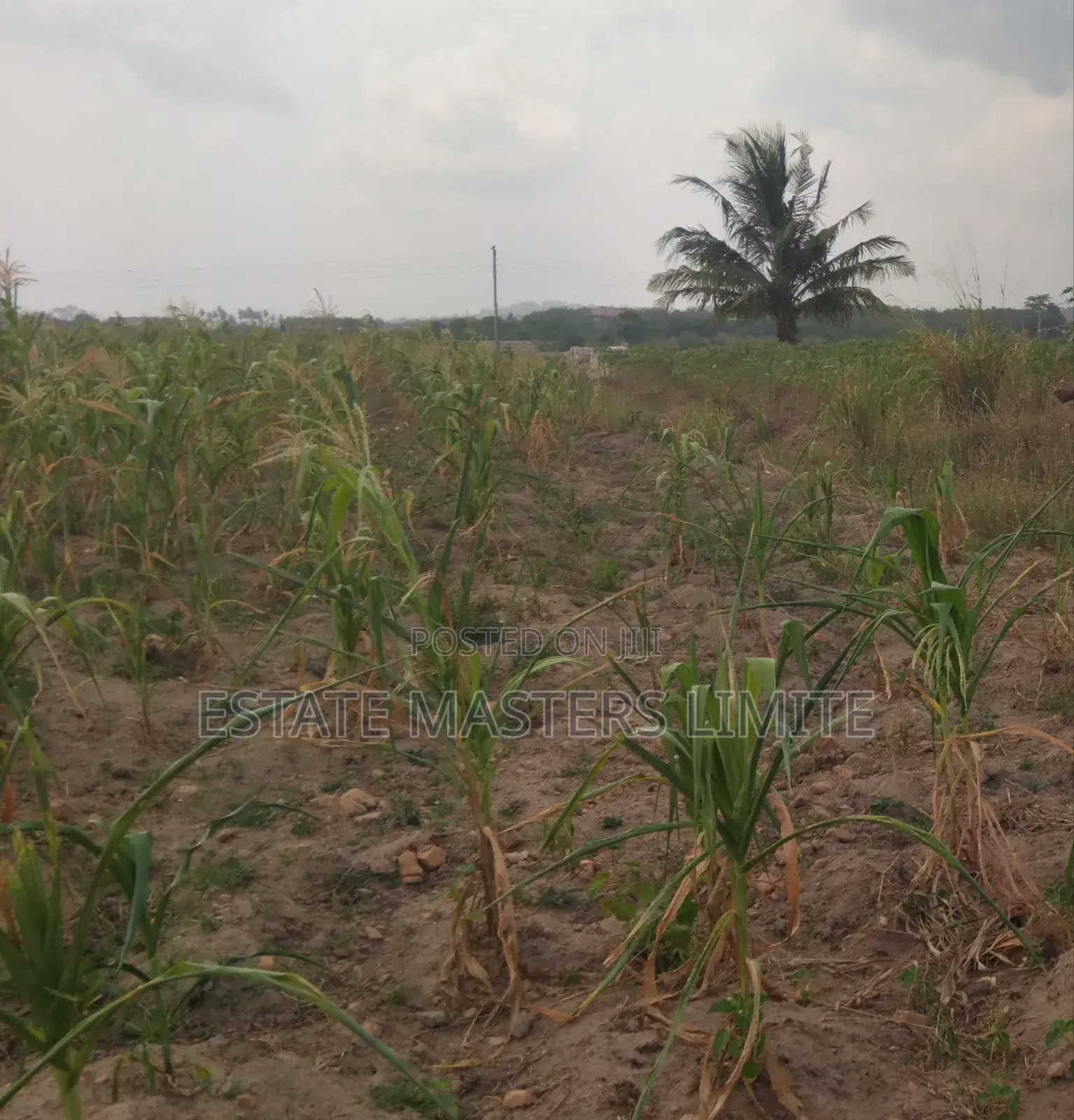 Decade of Trust Estate Masters Buy Your Land From Us Now