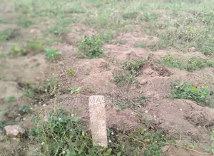 Decade of Trust Estate Masters Buy Your Land From Us Now
