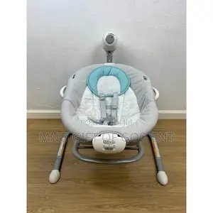 Soothe 'N Sway Baby Swing With Portable Rocker