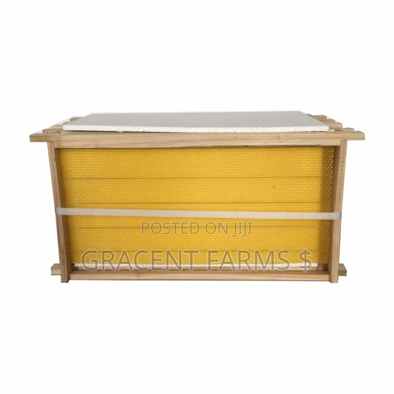 Hive Frame With Natural Wax Foundation Sheet