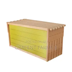 Hive Frame With Natural Wax Foundation Sheet