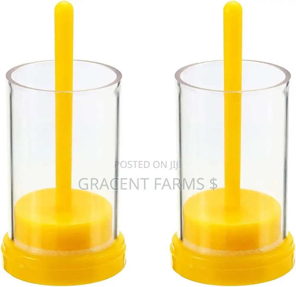 Queen Bee Marking Cage