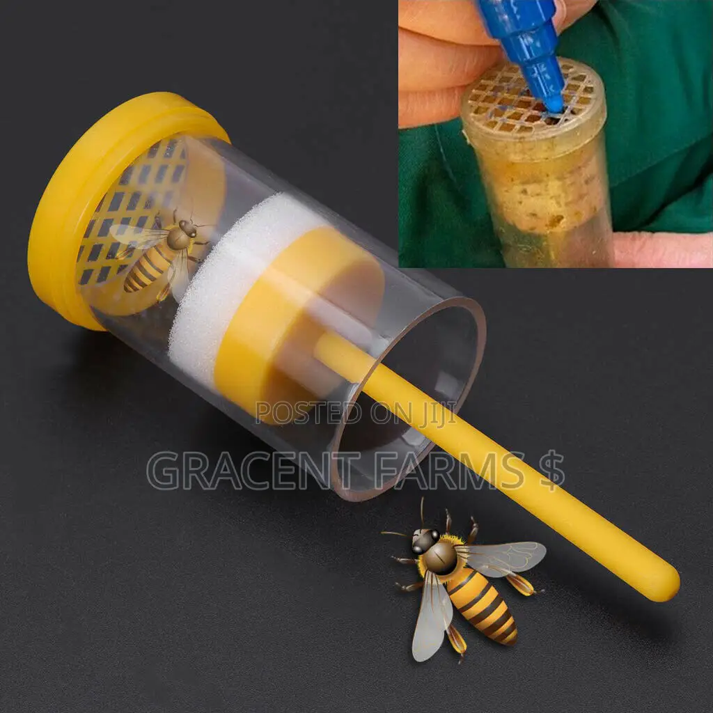 Queen Bee Marking Cage