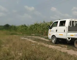 Wonderful Land Scape Lands Available for Sale at Dominase