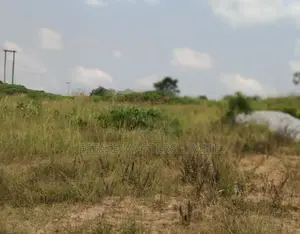Wonderful Land Scape Lands Available for Sale at Dominase