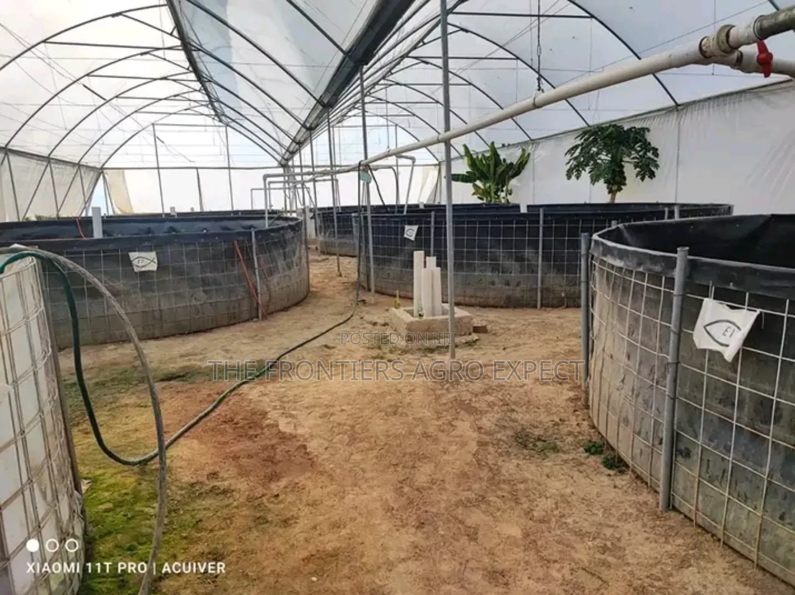 Tilapia PVC Biofloc Pond