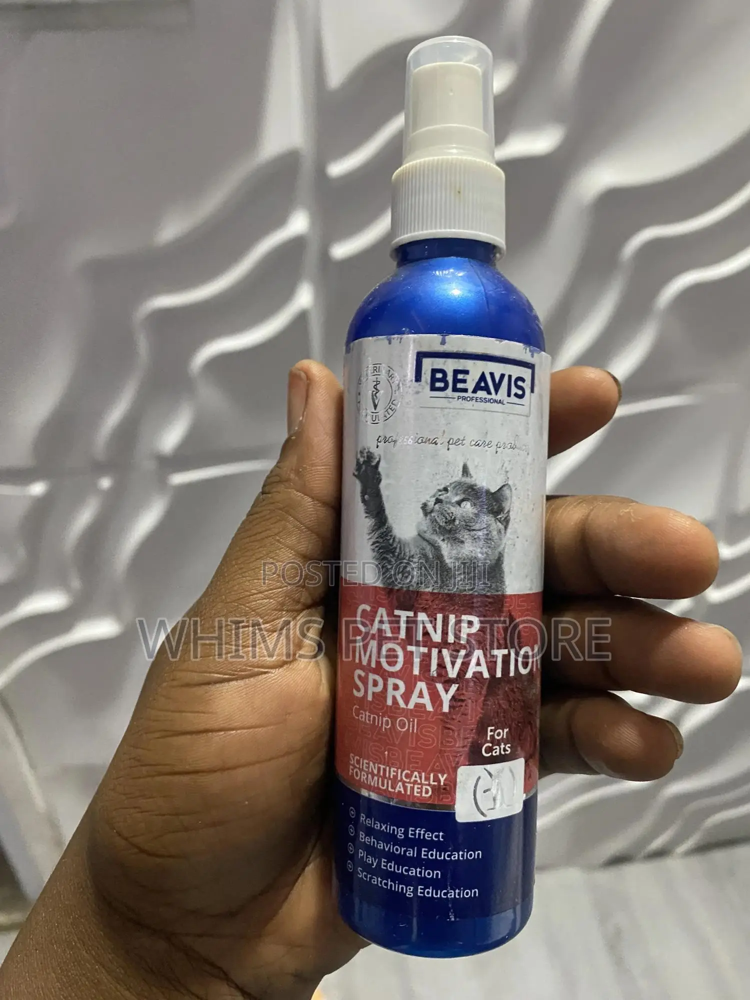 Beavis Cat Nip Motivation Spray