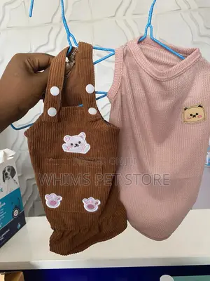 Fancy Dog and Cat Dress