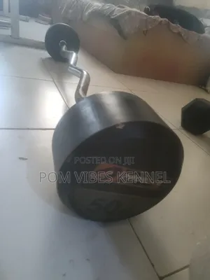 50kg X2 Fixed Barbell