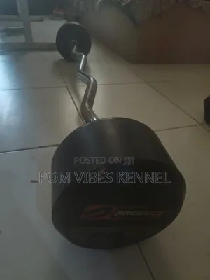 50kg X2 Fixed Barbell