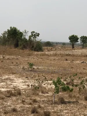 Nest Cottage Plots Off Tema-Aflao Highway. Rush for a Spot!