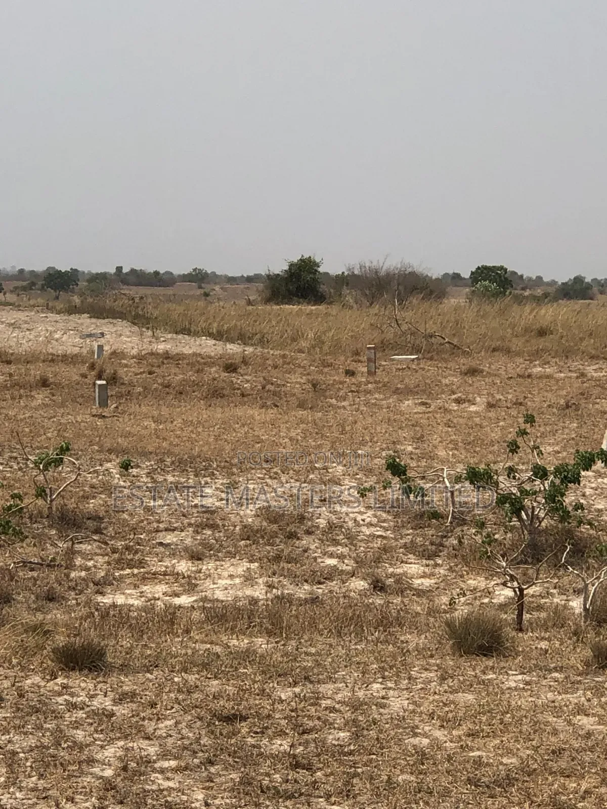 No Stress! No Wahala! Your Plot Awaits!