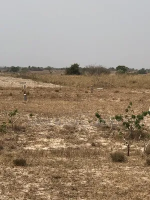 No Stress! No Wahala! Your Plot Awaits!