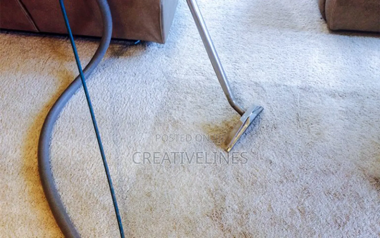 Cleaning of Carpet