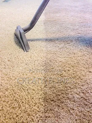 Cleaning of Carpet
