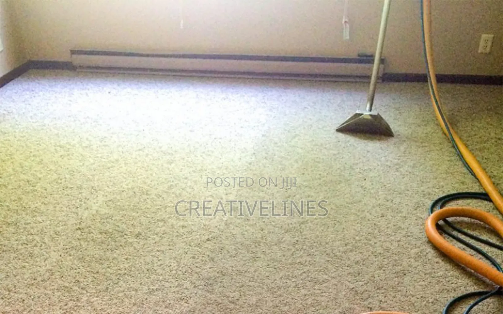Cleaning of Carpet
