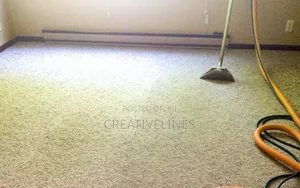 Cleaning of Carpet