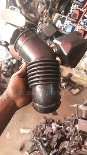 Hyundai Elantra 07-10 Inlet Hose