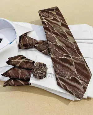 Neckties Set