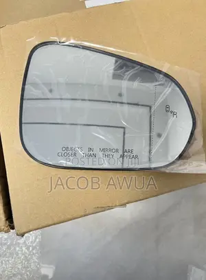 Lexus RX 350 2023-2024 Mirror Glass