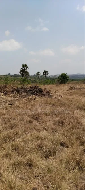 Bare Lands Reserved for Your Future Investment