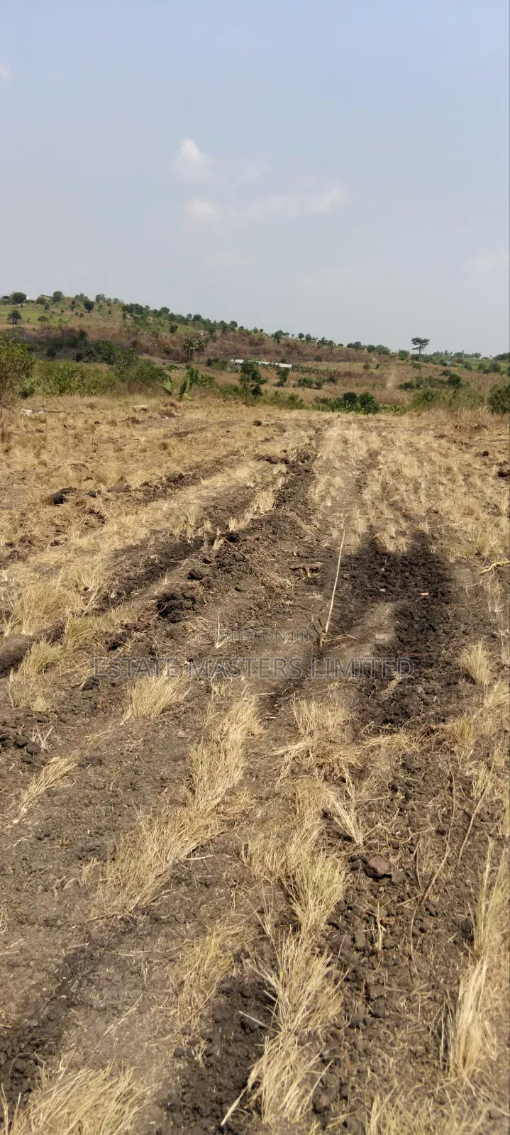 Bare Lands Reserved for Your Future Investment