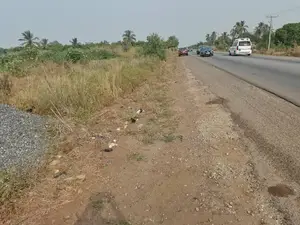 Roadside Land for Sale