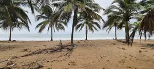 Central Region - (Komenda) _ 2 Plots of Oceanfront Land