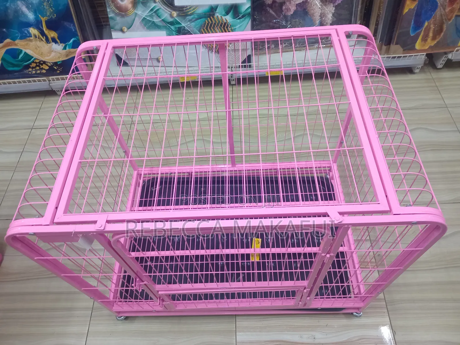 1+ Year Dog Cage