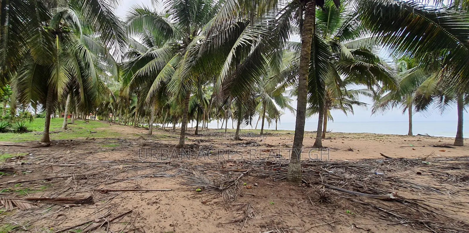 Central Region - (Komenda) _ 2 Plots of Oceanfront Land
