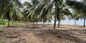Central Region - (Komenda) _ 2 Plots of Oceanfront Land