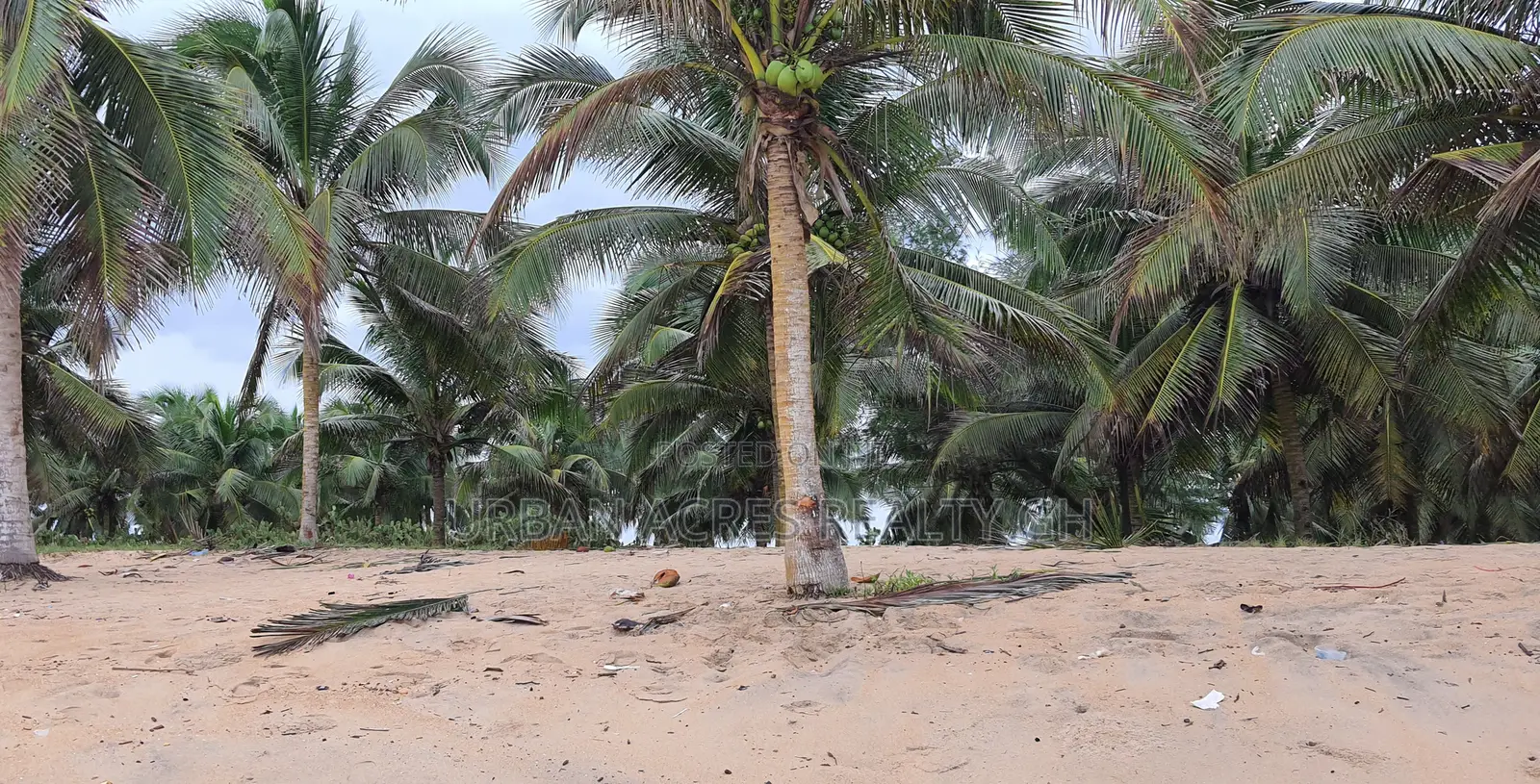 Central Region - (Komenda) _ 2 Plots of Oceanfront Land