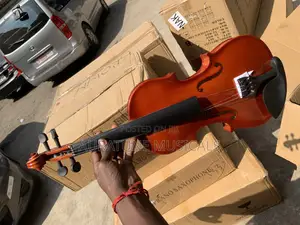 Professional Violin