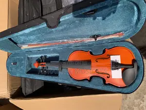 Professional Violin