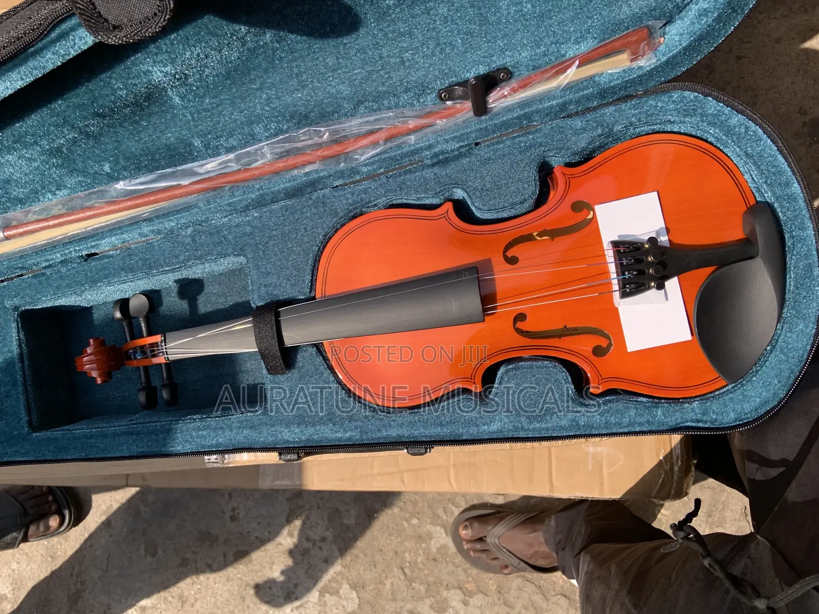 Professional Violin