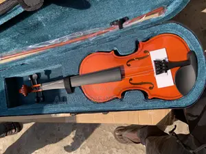 Professional Violin