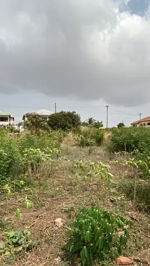 Registered Land for Sale.