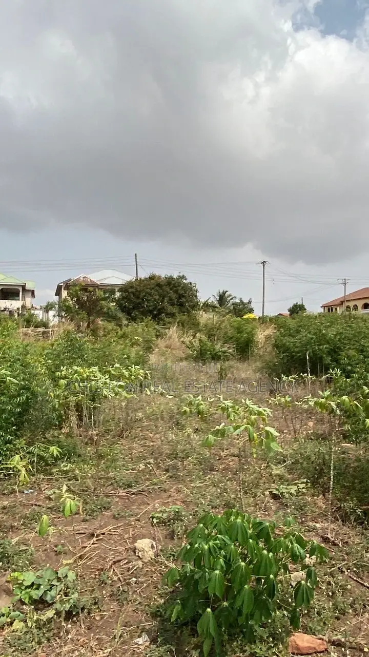 Registered Land for Sale.