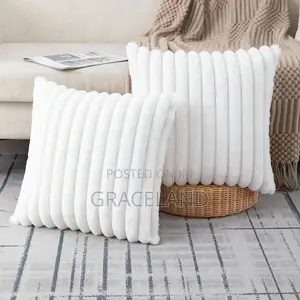 This Is Original 2 Set Of Sofa Throw Pillows Availability’S