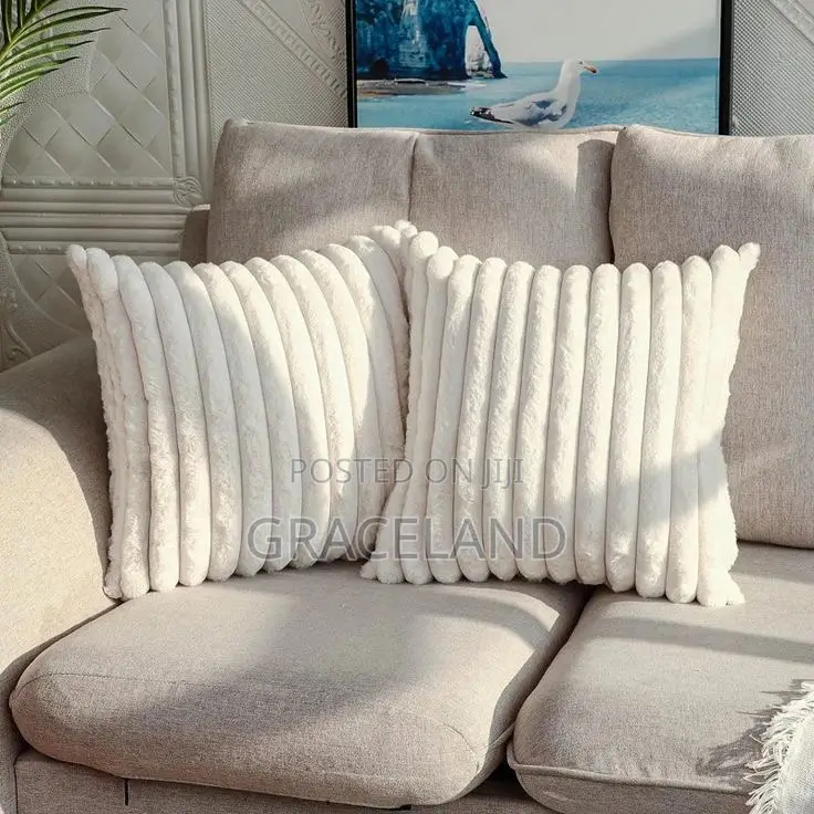 This Is Original 2 Set Of Sofa Throw Pillows Availability’S