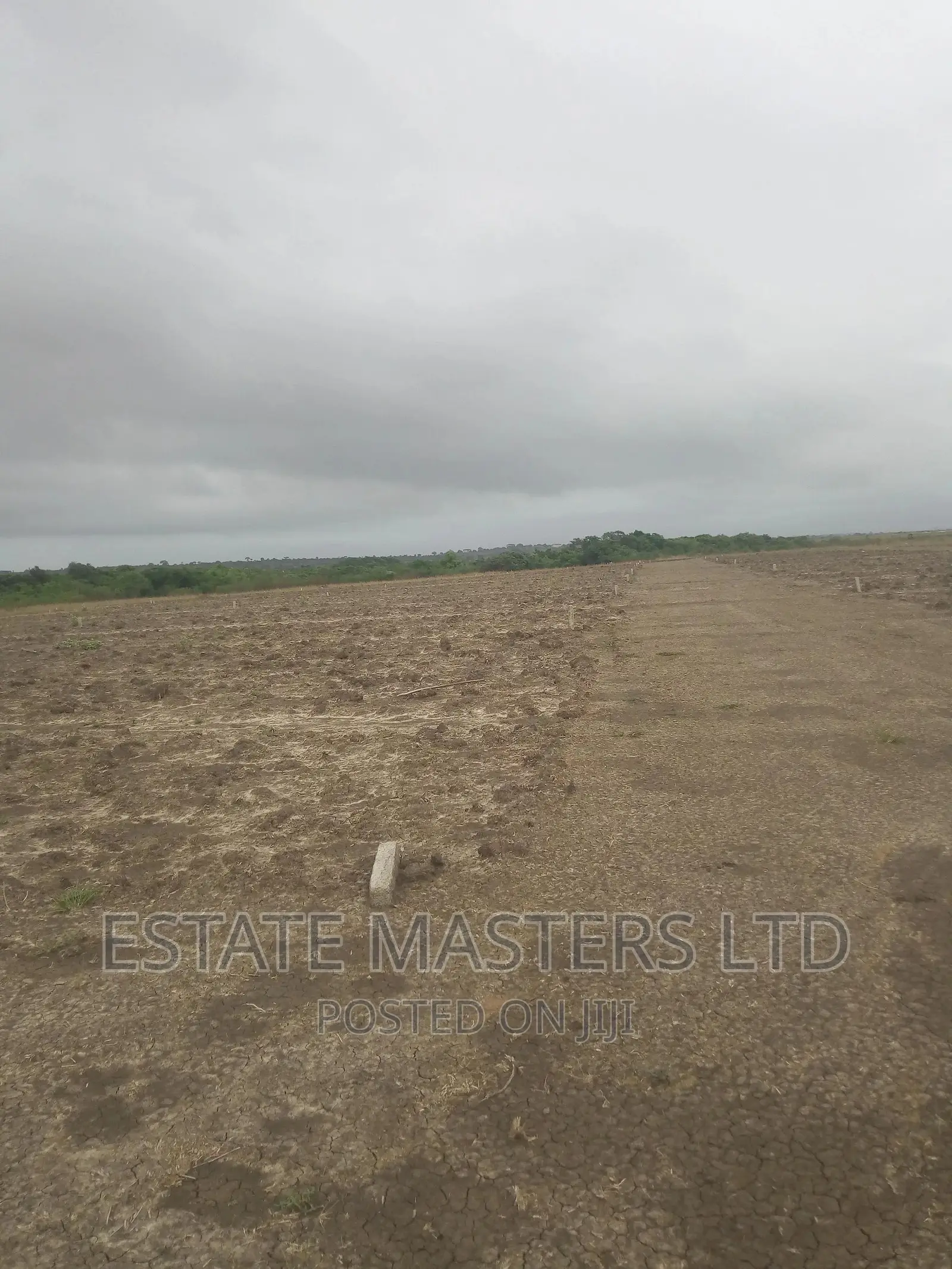 Special Area Plots on Promo