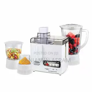 4 in 1 Juicer Blender Mixer and Grinder