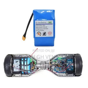 Hoverboard Battery