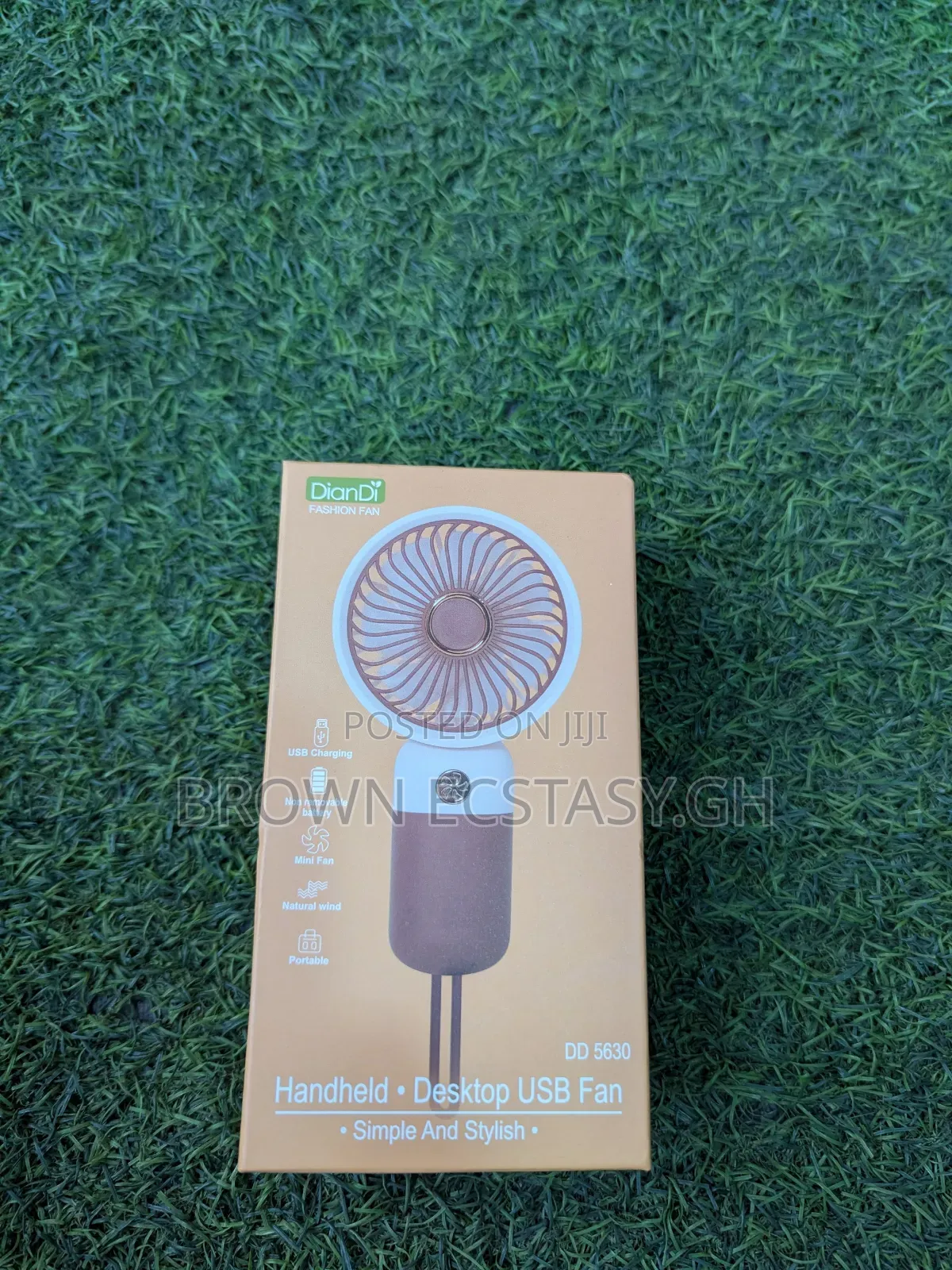 Diandi Mini Carry Fan (Different Types, Swipe)