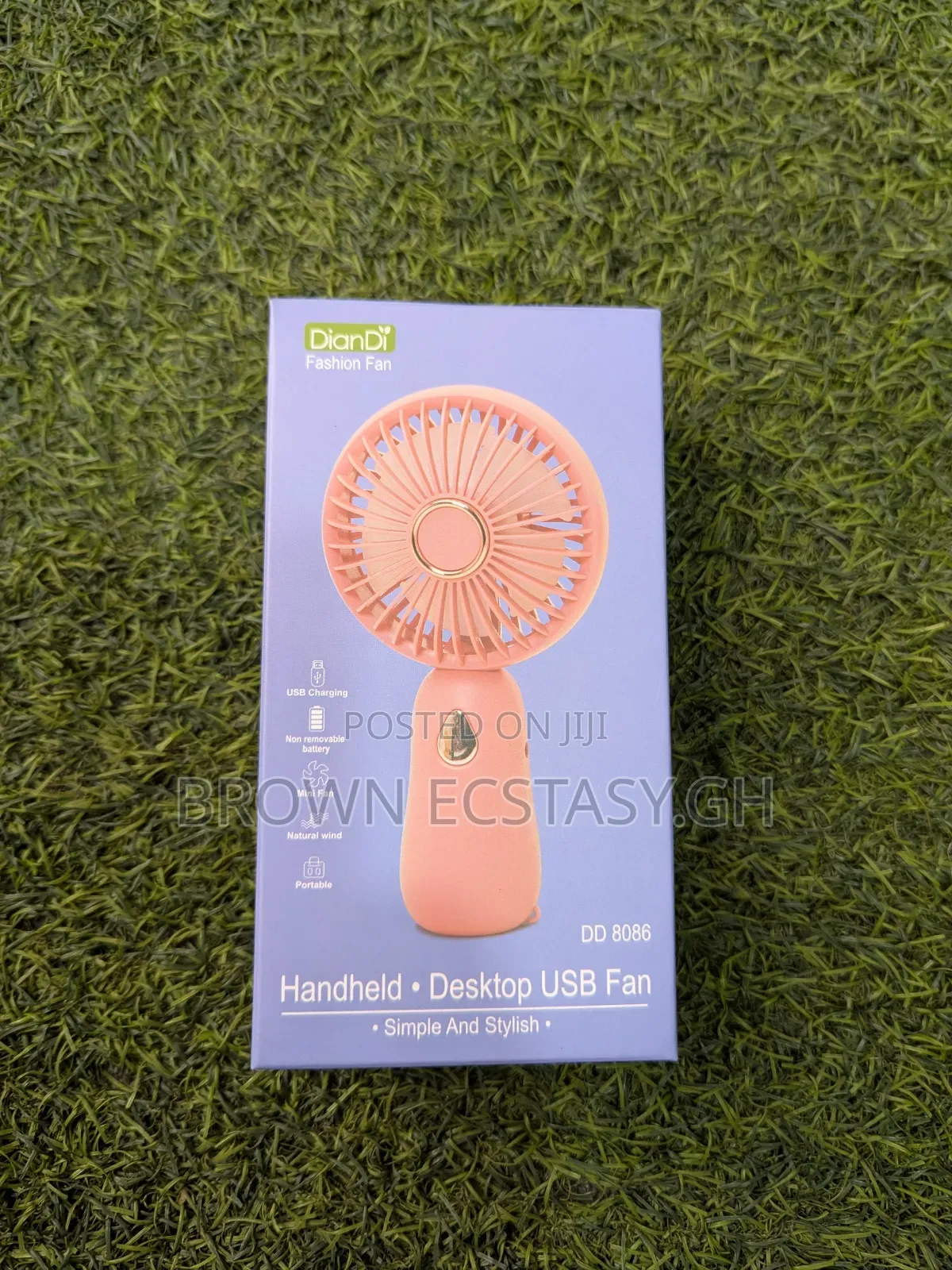 Diandi Mini Carry Fan (Different Types, Swipe)